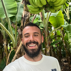 Никола Гулевски